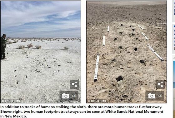 古代人は二足歩行の超巨大ナマケモノ（3m）と死闘を繰り広げていたことが化石でガチ判明！ 体重は700キロまるでモンスター！の画像4