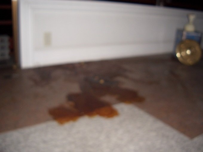 岐阜の殺人現場に行ったらカメラに異変! 中2少女が殺害された「華の城」で血溜まりも発見!?の画像4