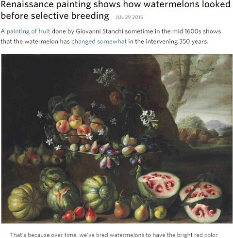 17世紀に描かれた「スイカの絵」の見た目が現代と違いすぎる！ 不気味で奇妙な見た目だった？の画像1