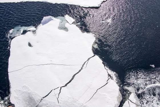 「地球温暖化はウソ」と書いたメディアは消される言論統制時代に突入！ あの男ら温暖化ビジネス連中から言論の自由を守れ！の画像2