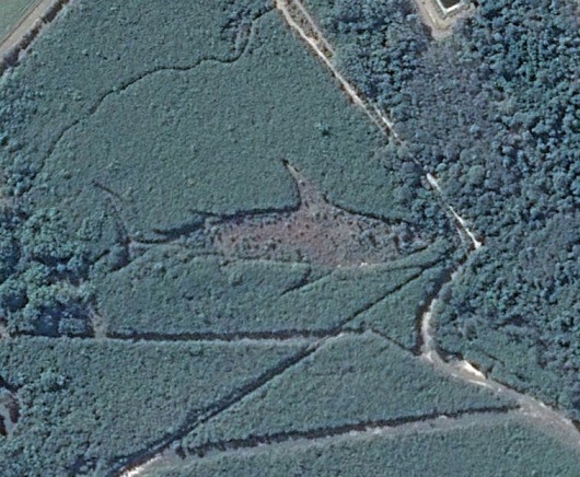 グーグルマップ上に突如現れた「猫の地上絵」！　誰が、何の目的で!?の画像4