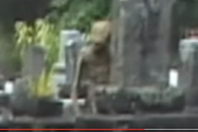 【衝撃動画】墓地に佇む淋しげな宇宙人?やっぱり緑色の肌だった!の画像1