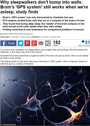 夢遊病者や酔っぱらいは、なぜ壁にぶつからないのか？ 驚きの「脳内GPS機能」が研究で明らかに！の画像1
