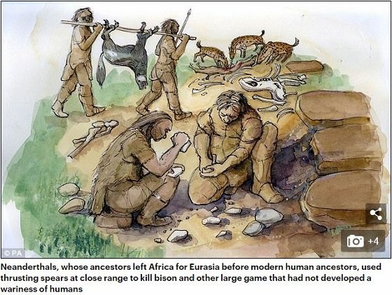 ネアンデルタール人が絶滅したのは絵が下手だったから！ 人類最大の武器は「芸術の才能」だった！の画像3