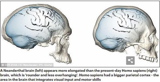ネアンデルタール人が絶滅したのは絵が下手だったから！ 人類最大の武器は「芸術の才能」だった！の画像4