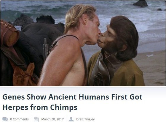人類はチンパンジーからヘルペスをうつされたことが判明！ 原因は異種姦セックスか!?の画像2