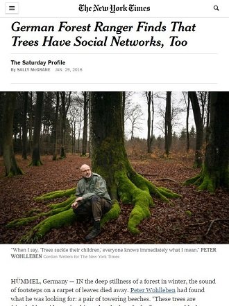 木々もソーシャルネットワークを持っていることが判明！ 感情も記憶もある、ドイツの森林警備隊員が断言！の画像2