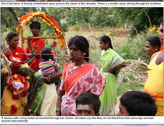 祭りのテーマは「苦行」 ― ヒンドゥー教徒の祭り「タイプーサム」が痛すぎる！の画像4