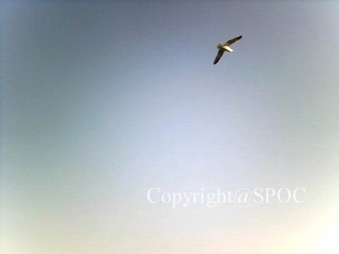 UFO動画のホンモノとニセモノの見分け方・決定版！ 宇宙現象観測所センター所長寄稿の画像4