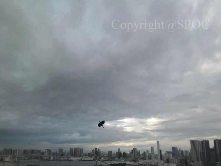 UFO動画のホンモノとニセモノの見分け方・決定版！ 宇宙現象観測所センター所長寄稿の画像5