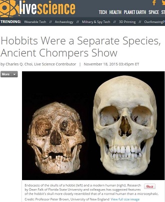 ホビットは独自の遺伝構成をもつ新種人類？歯の分析でわかった驚愕の事実の画像1