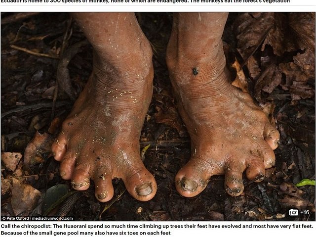 足が独自に進化した「ハオラニ族」が激カッコイイ！ 現代版ターザンの驚愕遺伝子と、近代化の波の画像2