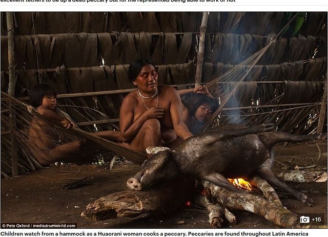 足が独自に進化した「ハオラニ族」が激カッコイイ！ 現代版ターザンの驚愕遺伝子と、近代化の波の画像4