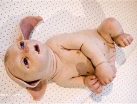 米国ではブタ人間が作られている？動物の体内で人間の臓器を作る「キメラ技術」の恐怖の画像1