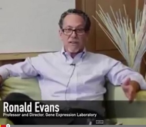 【特集】想像上の食事で体を騙す!? 「夢のダイエット薬、フェクサラミン」の開発なるか？の画像1