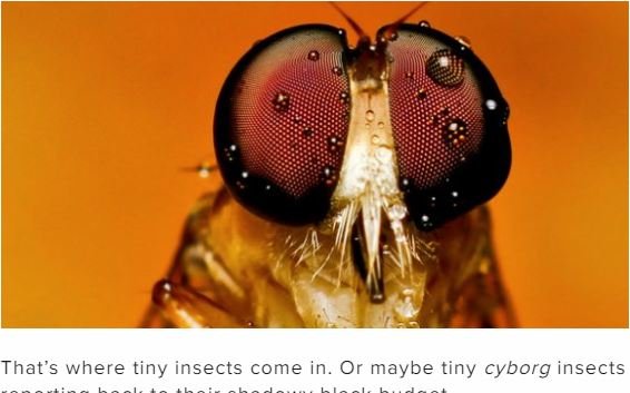 米軍が「昆虫の脳と意識」をもつAIロボット昆虫兵士の研究開始！ 反乱の危険性も…（最新研究）の画像2