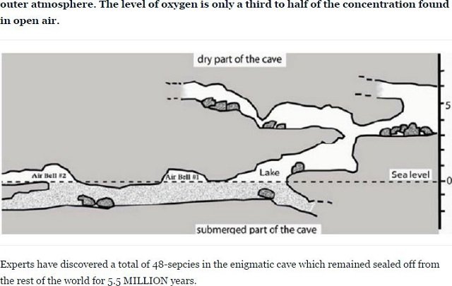 550万年も封印されていた「モビル洞窟」がヤバすぎる！ 独自の生態系と謎の生物48種が暮らす地底の異世界の謎＝ルーマニアの画像2