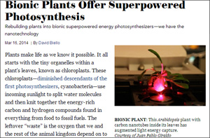 植物が化学兵器探知機に!?　サイボーグ植物の誕生か？の画像1