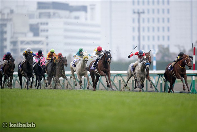 【衝撃】「これさえあれば何もいらない!?」高松宮記念（G1） 完全無料の競馬予想ポータルサイトに50万人が集結！の画像1