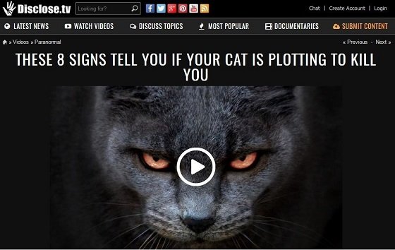 「ネコがあなたを殺そうとしている8つのサイン」！ カーテンの後ろに潜んでいる時は殺害準備、超獰猛なキラー・キャットも！の画像1