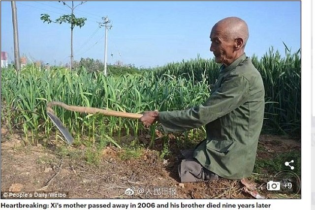 両脚を失った農夫の不屈の人生！ 家族を養い、看病し、炊事洗濯まで…全人民が感動したシーさんの実話とは？の画像1