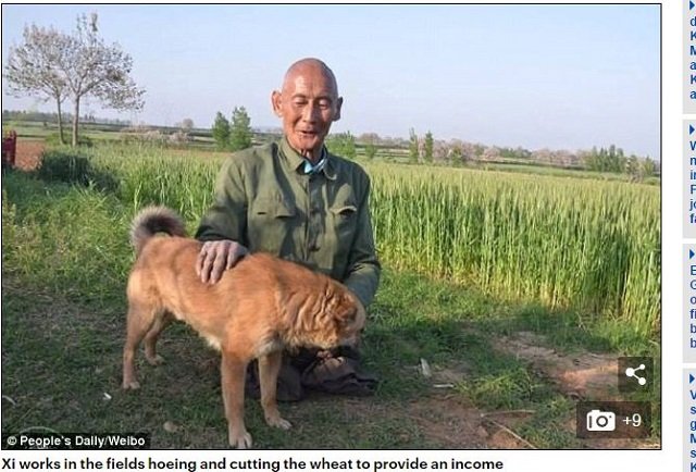 両脚を失った農夫の不屈の人生！ 家族を養い、看病し、炊事洗濯まで…全人民が感動したシーさんの実話とは？の画像4