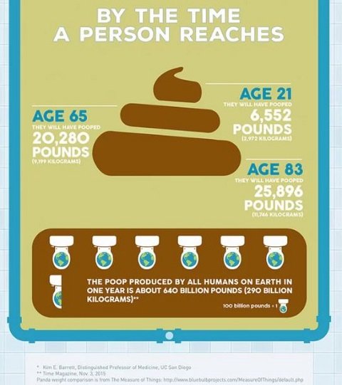 人間の生涯総うんこ量は10トン超えだった！ 世界18億人が糞尿まみれの水を飲んでいる現実も！の画像2