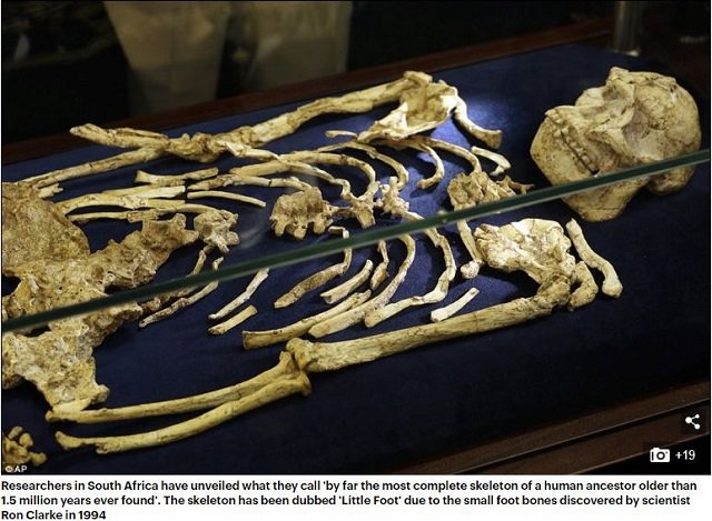 小さな足の初期人類「リトルフット」とは!? 人類最古の完全な骨格が再現され、衝撃の新事実が続々判明！の画像1