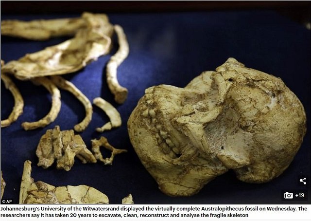 小さな足の初期人類「リトルフット」とは!? 人類最古の完全な骨格が再現され、衝撃の新事実が続々判明！の画像4