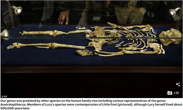 小さな足の初期人類「リトルフット」とは!? 人類最古の完全な骨格が再現され、衝撃の新事実が続々判明！の画像2
