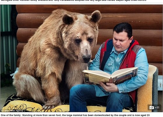 体長2メートルの巨大ヒグマと暮らす夫婦 ― 23年間家族のようにクマと暮らす＝ロシアの画像3