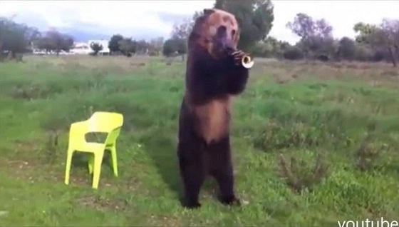 体長2メートルの巨大ヒグマと暮らす夫婦 ― 23年間家族のようにクマと暮らす＝ロシアの画像5