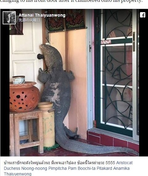 プーチンがエリザベス女王に塩対応、理由は「レプティリアンだから」の画像1