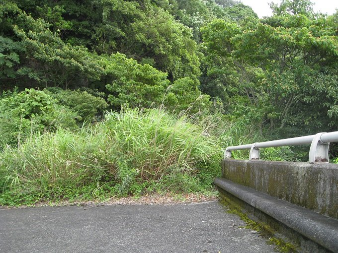 静岡県のレア廃墟へ潜入… 実は完成していた「未完成ループ橋」!の画像6