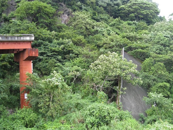 静岡県のレア廃墟へ潜入… 実は完成していた「未完成ループ橋」!の画像18