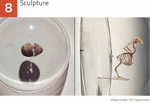 人皮ランプ、人骨銃、母乳アクセサリーも…！ 本物の「人体パーツ」から作られたヤバすぎるアイテム5選！の画像3