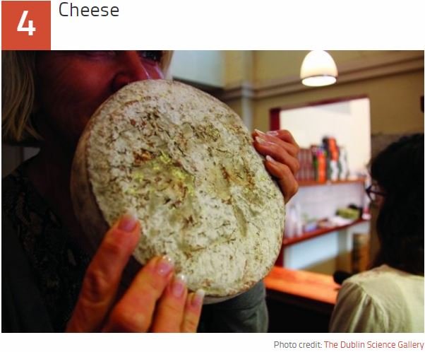 遺灰家電、へそのゴマでチーズ、超怖い生き人形も…！ 「人体パーツ」から作られた恐ろしいのに魅惑的なアイテムベスト5の画像2