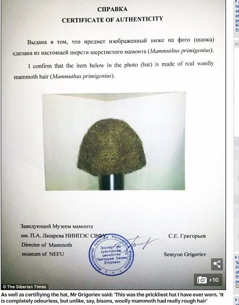 絶滅した「マンモスの毛」で作った111万円のニット帽が衝撃的に素朴！製作者「チクチクしてマッサージ効果もある」＝ロシアの画像1