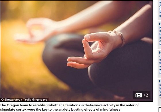 「瞑想するマウス」の脳波を調べて判明！ 瞑想の本当の効果とは？の画像2