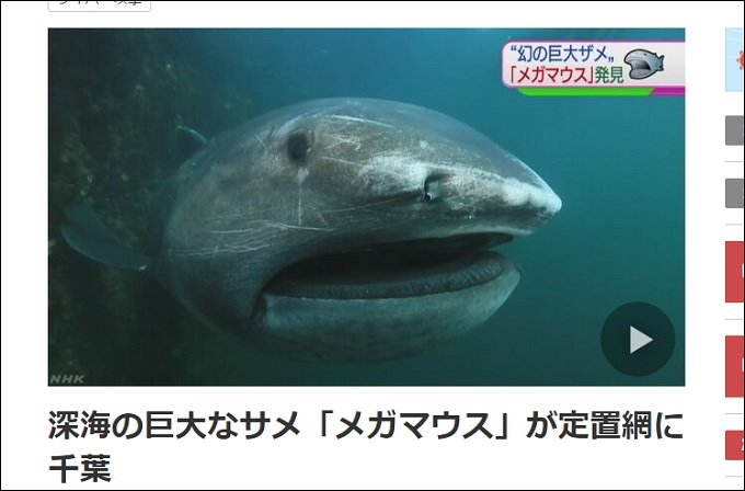 千葉・三重の「メガマウス」は大地震の前兆!! 7月下旬までにM6以上は確定的か!? 9つの前例で判明！の画像1