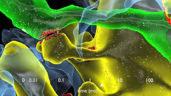 人間の脳は考えられていたよりも10倍（1ぺタバイト）記憶できることが判明！の画像1