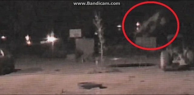 幻の幽霊オオカミ「ミシガン・ドッグマン」が宙を舞う瞬間を激撮！ ナバホ族も危惧する幻型生命体「シェイプシフター」との指摘も？の画像3