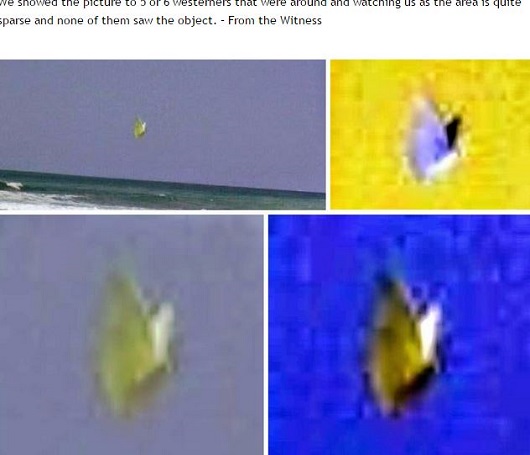 鳥？ モスマン？ ビーチで撮影された奇妙な黄色い生物＝インドネシアの画像1