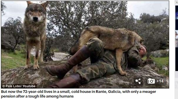 7歳から12年間もオオカミに育てられた男、人間界に戻ったことを後悔！ 「動物の方が優しい…」ウルフマンのボヤキが胸に刺さるの画像2