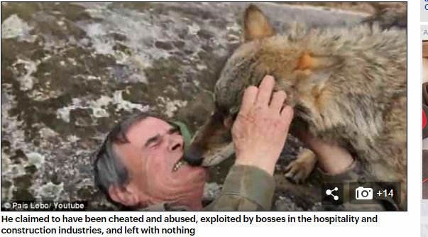 7歳から12年間もオオカミに育てられた男、人間界に戻ったことを後悔！ 「動物の方が優しい…」ウルフマンのボヤキが胸に刺さるの画像5