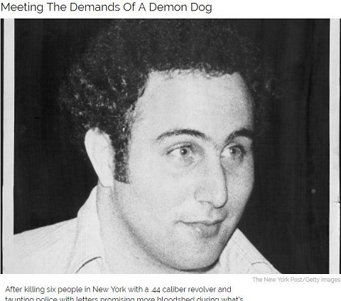 「月曜日が嫌いだから」小学校銃撃 ― 史上最もヤバい殺人の動機10選！の画像7