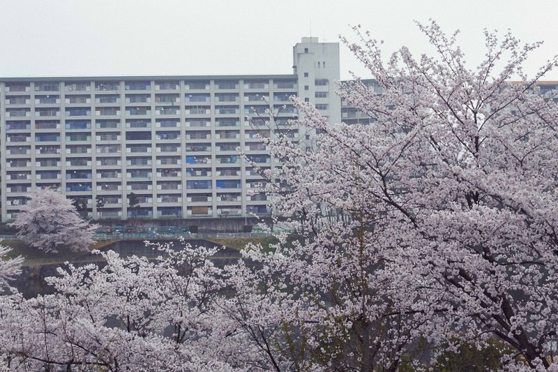 愛知県の 移民流入地「保見団地」を3年間撮り続けた写真家・名越啓介！ 超絶ワイルド&センチメンタルな日本の外国の実態（インタビュー)の画像3