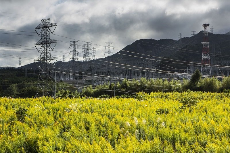 写真家・中筋純が撮り続ける「原発事故」の真実！ 時間が止まった街が廃墟化する過程…現在の福島は日本の未来の姿だ！の画像4