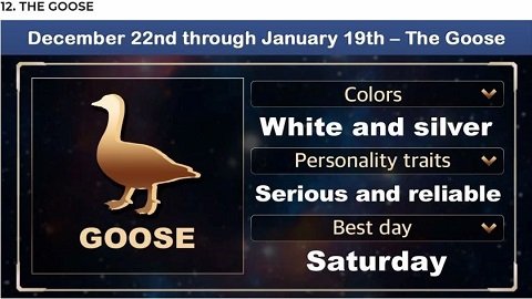 アメリカ先住民に伝わる「動物の神様占い」が当たりまくる！ 性格からラッキーカラーまでバッチリ解説の画像13