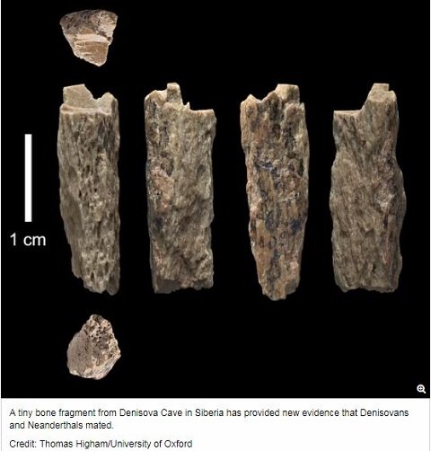 ネアンデルタール人とデニソワ人のハイブリッド少女の骨を発見！ 遺伝学的に乖離があるのになぜ… 太古のミステリー！の画像1